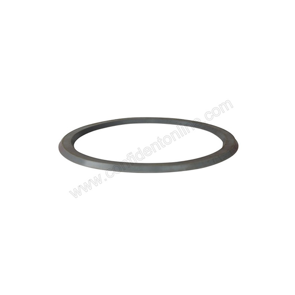AUTO CLAVE DOOR GASKET