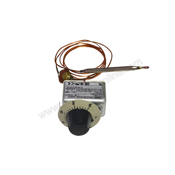 Auto Clave Thermostat