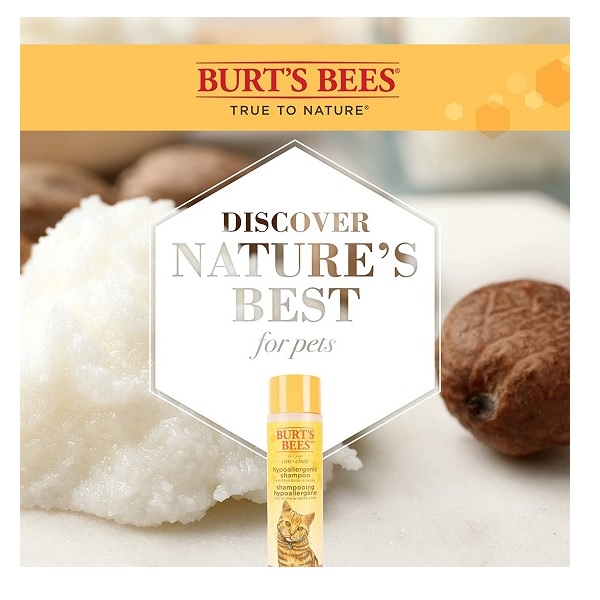 Burt's Bees Burt S Bees for Cats Hypoallergenic Shampoo with Shea Butter and Honey, 10 Ounces - Image 4