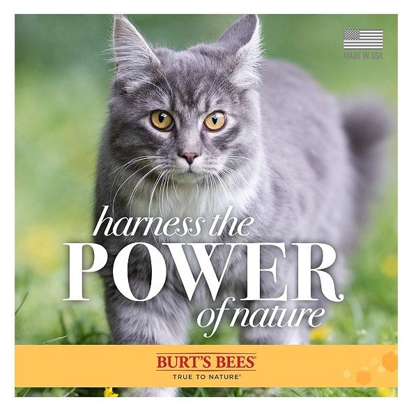 Burt's Bees Burt S Bees for Cats Hypoallergenic Shampoo with Shea Butter and Honey, 10 Ounces - Image 9