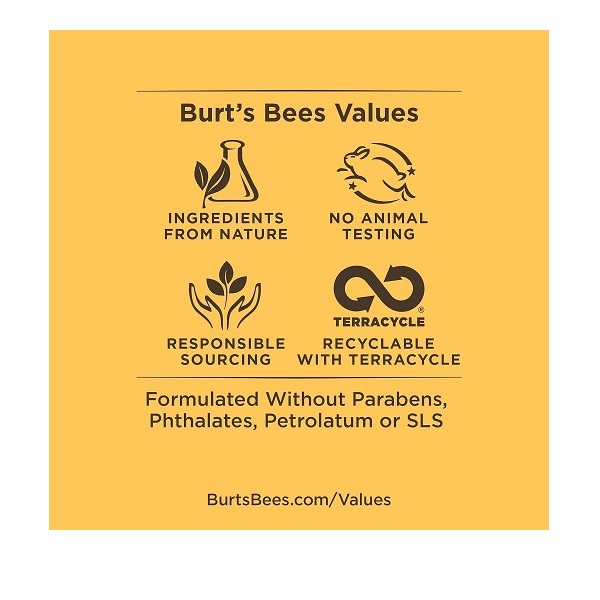 Burt's Bees Renewal Refining Cleanser, 6 oz - Image 6
