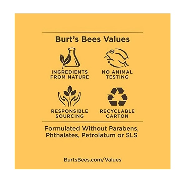 Burt's Bees Replenishing Lip Balm with Pomegranate Oil - Image 4