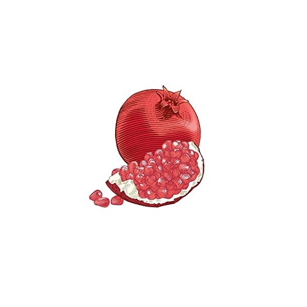 Burt's Bees Replenishing Lip Balm with Pomegranate Oil - Image 6