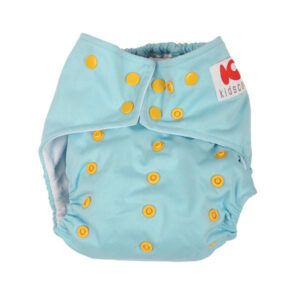 Cloth Diaper With Insert1