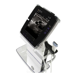 GE Venue 40 Ultrasound Machine -