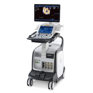GE Vivid E95 Ultrasound Machine -