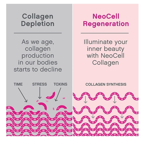 NeoCell Super Collagen Peptides Powder, Unflavored, 15 Servings, Package May Vary, White, 5.3 Oz - Image 4