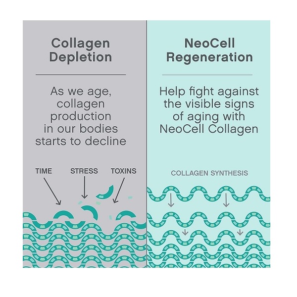 Neocell Super Collagen Peptides Unflavored 600g - Image 5