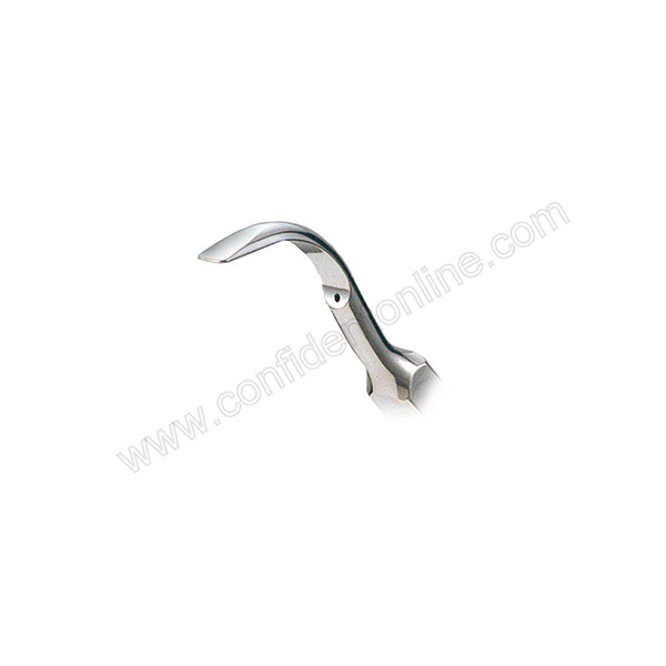 Nsk Scaler Tip G2