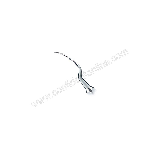 Nsk Scaler Tip P1