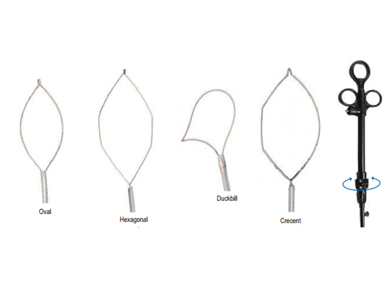 POLYPECTOMY SNARE