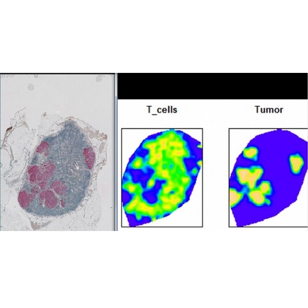 Precision Pathology