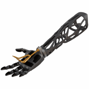 Prosthetic Device