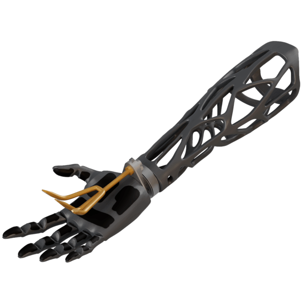 Prosthetic Device