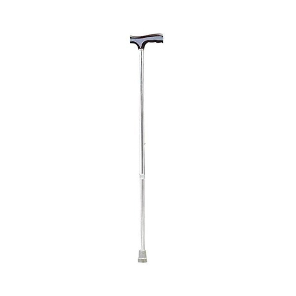 Renewa Walking Stick Fs 930L