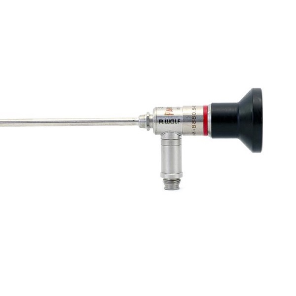 Richard Wolf 4.0 mm 30º Panoview Scope
