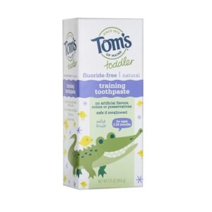 Tom’s of Maine toddler fluoride free training toothpaste mild fruit flavor natural kids toothpaste 1.75 oz for early oral care