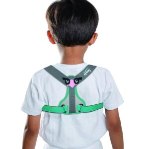 Tynor Clavicle Brace Velcro - CH