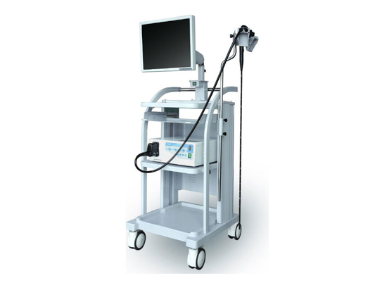 VME 2000 ENDOSCOPE