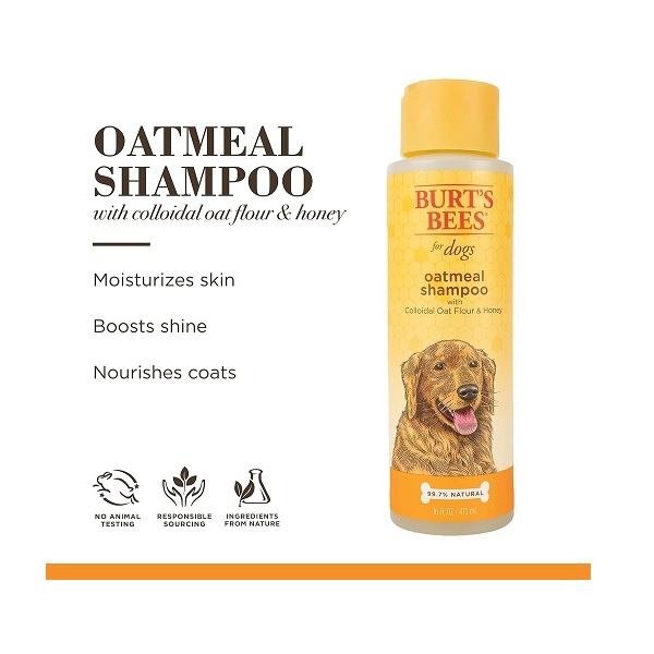 Burt's Bees for Dogs All-Natural Oatmeal Shampoo with Colloidal Oat Flour and Honey | Best Oatmeal Shampoo for All Dogs and Puppies with Itchy Skin, 16 Ounces - Image 2