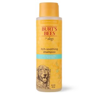 Burts Bee Itch Soothing Shampoo, 16-Ounce