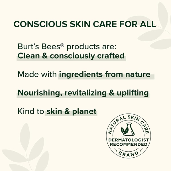 Burt's Bees Lip Balm, Pomegranate Oil Blister Box, 2 Count - Image 5