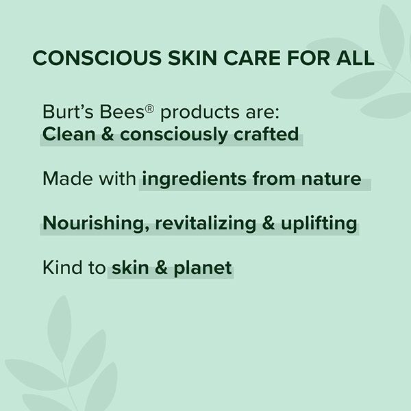 Burt's Bees Lip Balm, Pomegranate Oil Blister Box, 2 Count - Image 7
