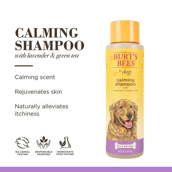 Burt's Bees for Pets Natural Calming Lavender Dog Shampoo with Green Tea, Anti-Itch and Allergy Relief, Includes Oatmeal for Soothing Comfort - Sulfate, Paraben Free, pH Balanced, 16 oz - Made in USA - Image 4
