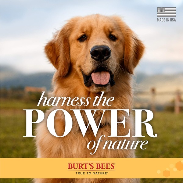 Burt's Bees for Pets Natural Calming Lavender Dog Shampoo with Green Tea, Anti-Itch and Allergy Relief, Includes Oatmeal for Soothing Comfort - Sulfate, Paraben Free, pH Balanced, 16 oz - Made in USA - Image 8