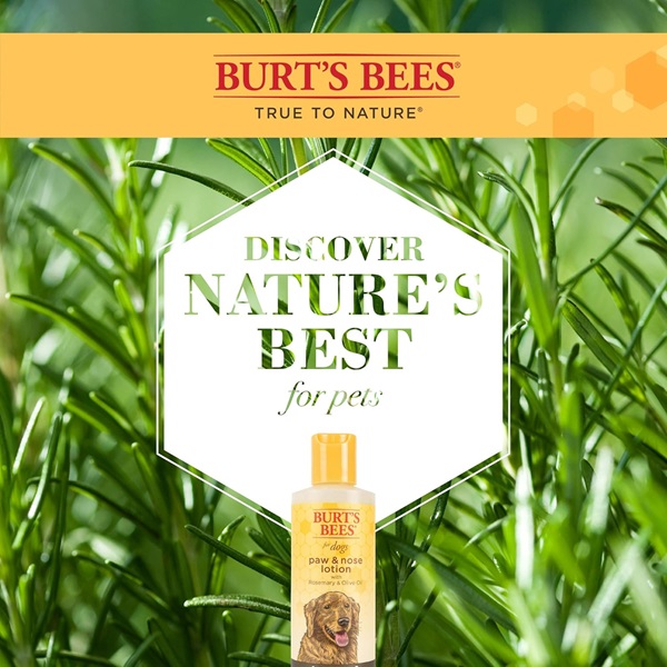 Burts Bee Paw and Nose Lotion, 4-Ounce - Image 5