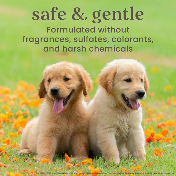 Burt's Bees for Dogs All-Natural Tearless Puppy Shampoo with Buttermilk | Best Tear-Free Shampoo For All Dogs and Puppies For Gentle Fur - Image 4
