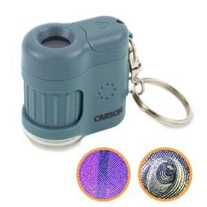 Microscopic view of fingerprint and ink pattern seen through Carson MicroMini