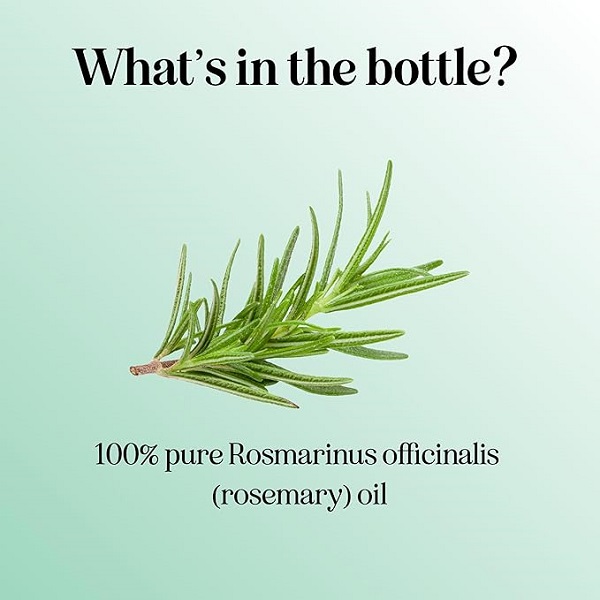 Maple Holistics Anti Aging Antioxidant Natural Skin Care Pure Rosemary Essential Oil Ancient Beauty Elixir - Image 3