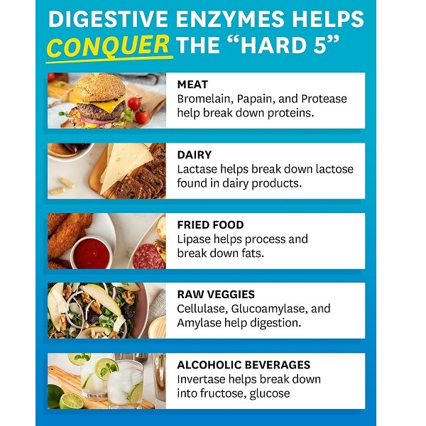 Digestive enzymes in Zenwise supplement targeting meat, dairy, fried food, raw veggies, and alcohol