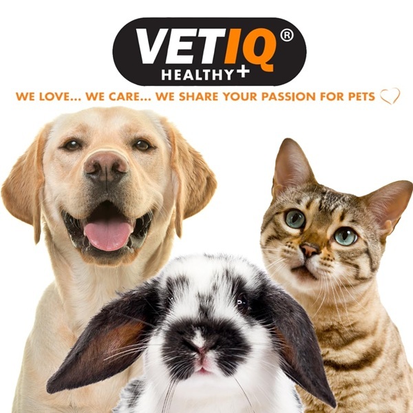 VETIQ Denti-Care Solution for Cats and Dogs, Dental Plaque Reducer, No Brushing Required, 250 ml - Image 6